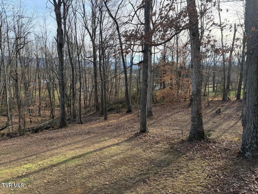 Photo #8: Tbd Lot 2 Matson Road