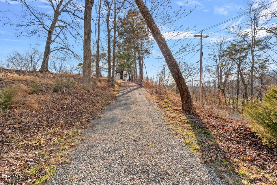 Photo #50: 662 Lower Bogard Road