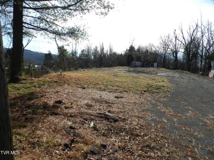 Photo #5: 4113 Clearview Street