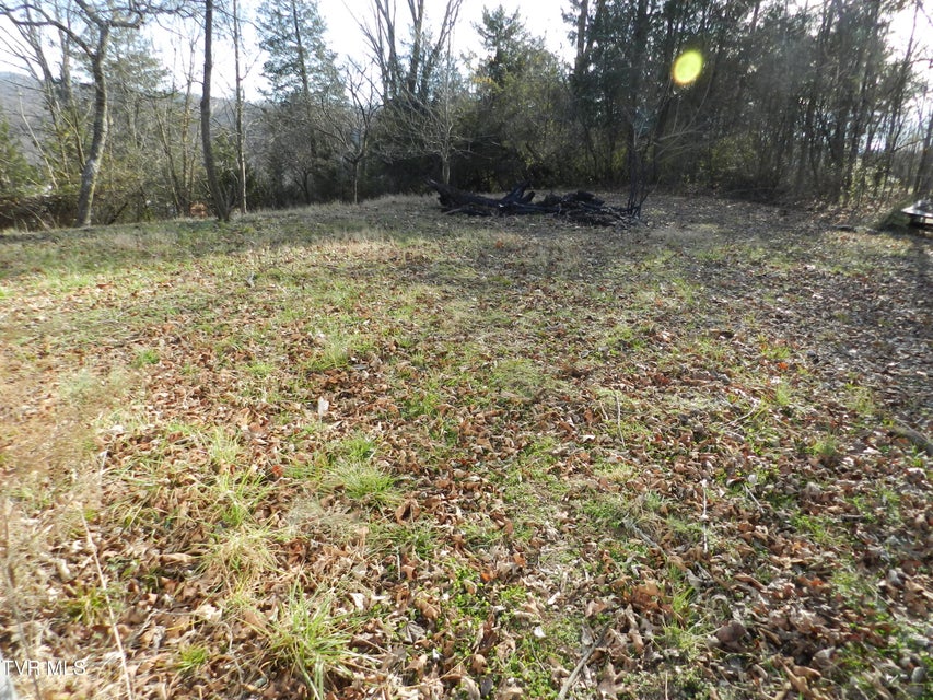 Photo #9: 4113 Clearview Street