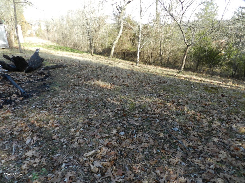 Photo #10: 4113 Clearview Street