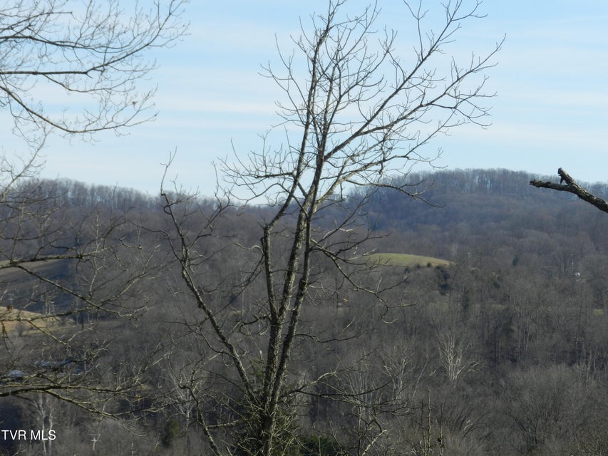 Photo #14: 4113 Clearview Street