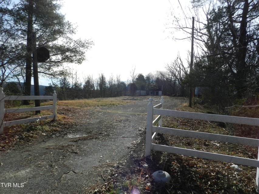 Photo #2: 4113 Clearview Street