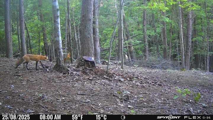 Photo #39: 1655 Lester Whitt Road