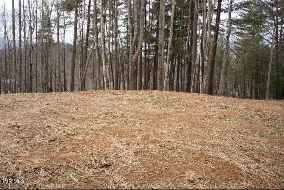 Photo #41: 256 William Hawkins Lane