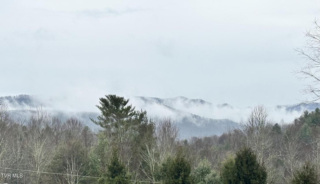 Photo #25: 256 William Hawkins Lane