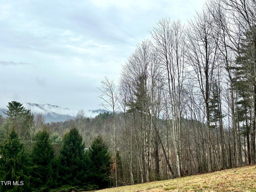 Photo #31: 256 William Hawkins Lane