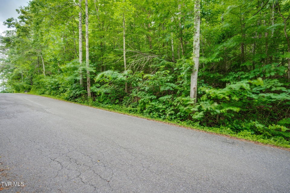 Photo #4: Lot 40 Ridgeheights Drive