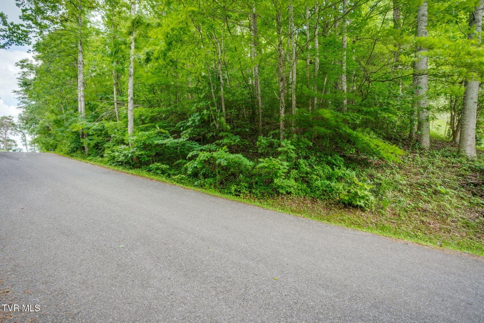 Photo #5: Lot 40 Ridgeheights Drive