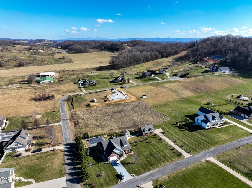 Photo #7: Tbd Snaffle Bit Lane