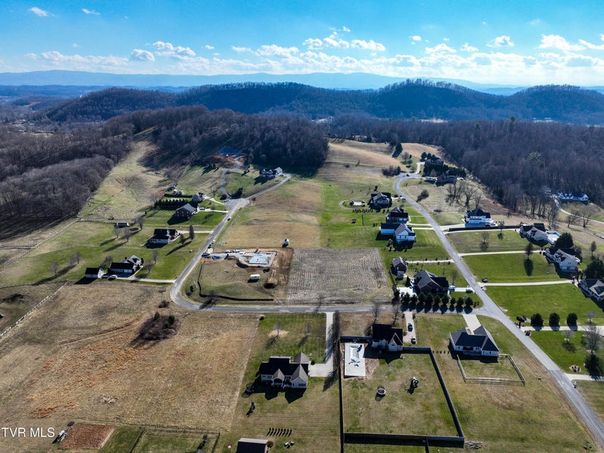 Photo #16: Tbd Snaffle Bit Lane