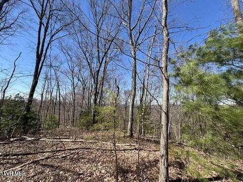 Photo #17: 166 Holston Mountain Road