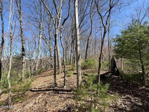 Photo #18: 166 Holston Mountain Road