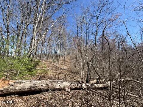 Photo #19: 166 Holston Mountain Road