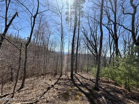 Photo #20: 166 Holston Mountain Road