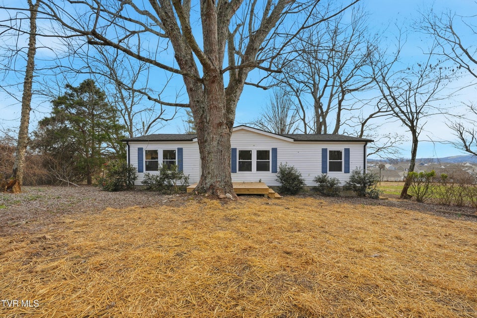 Photo #3: 449 Bayhill Drive