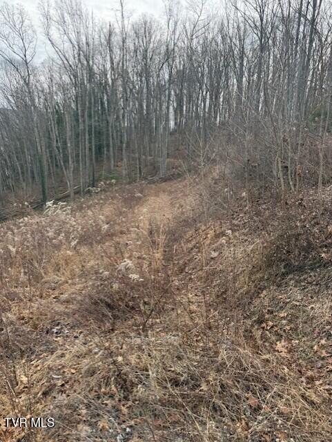 Photo #3: Tbd Mining Ridge Road