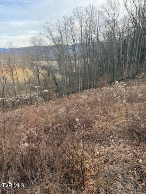 Photo #2: Tbd Mining Ridge Road