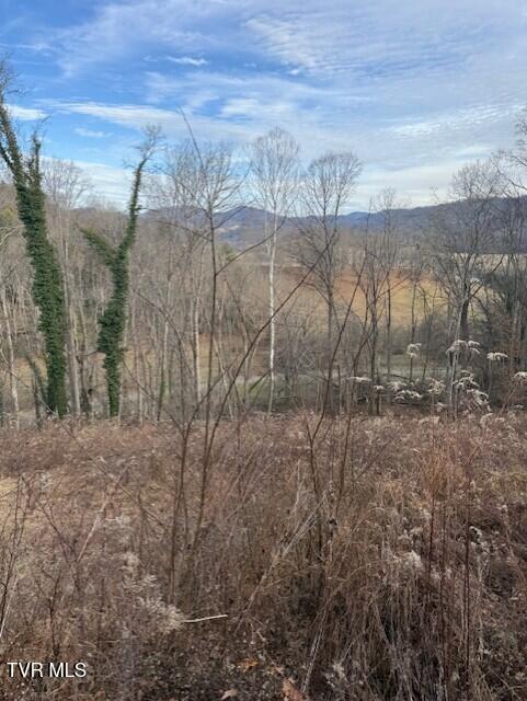 Photo #4: Tbd Mining Ridge Road