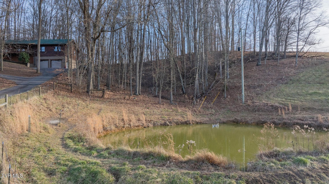 Photo #53: 11766 Rocky Hill Road