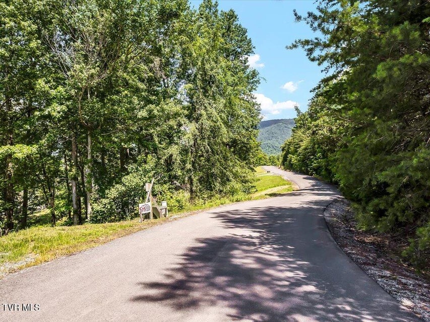 Photo #28: Lot 11 Walnut Bend Drive