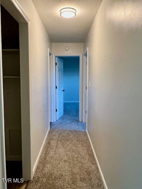 Photo #11: 1225 Carriage Circle