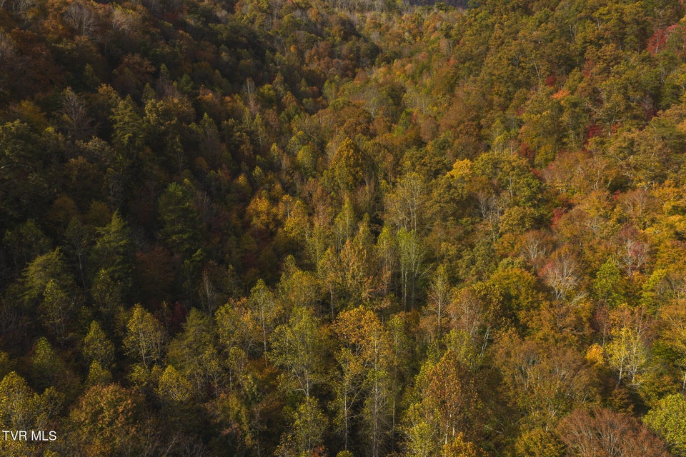 Photo #2: 89 Acres Lynn Flanary Road