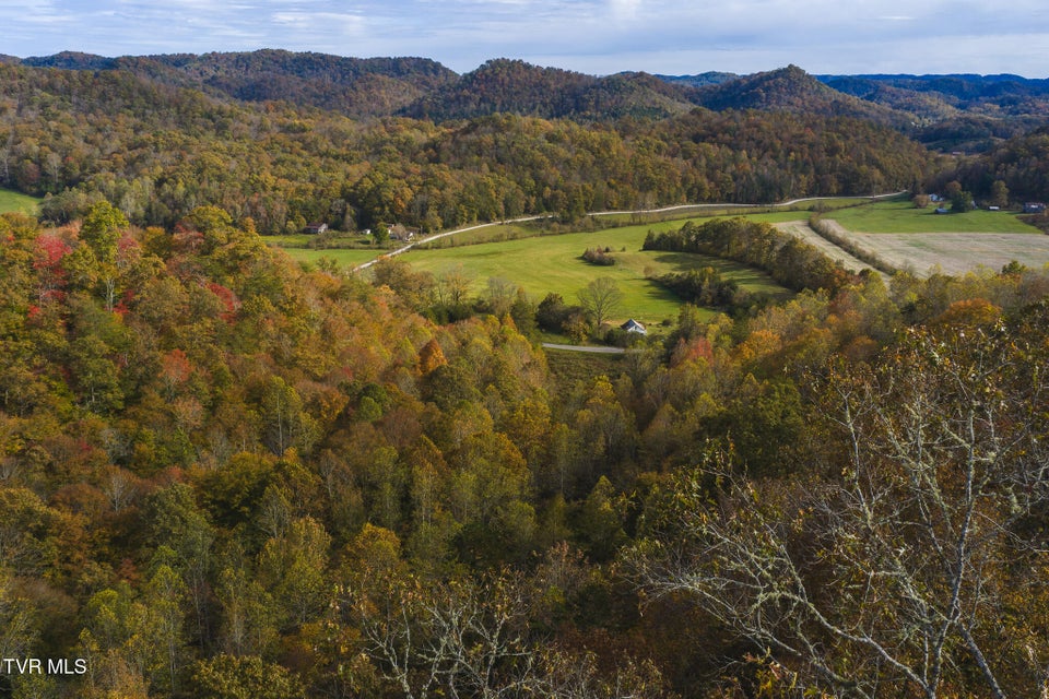 Photo #3: 89 Acres Lynn Flanary Road