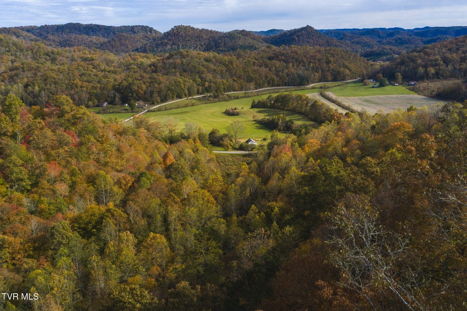 Photo #4: 89 Acres Lynn Flanary Road