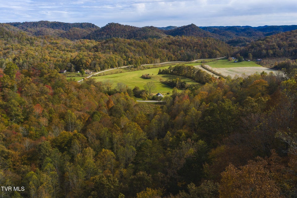 Photo #5: 89 Acres Lynn Flanary Road