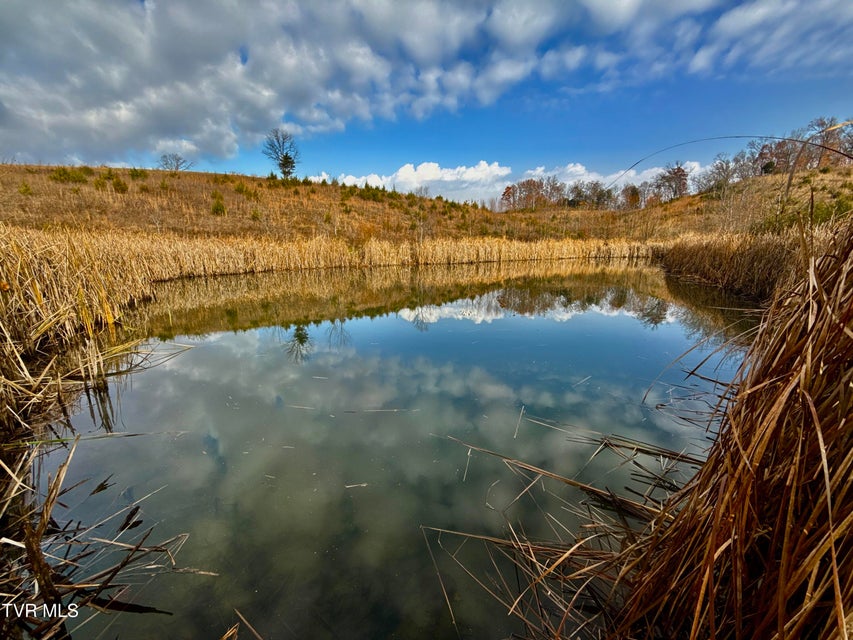 Photo #4: 3456 Warrensburg Road