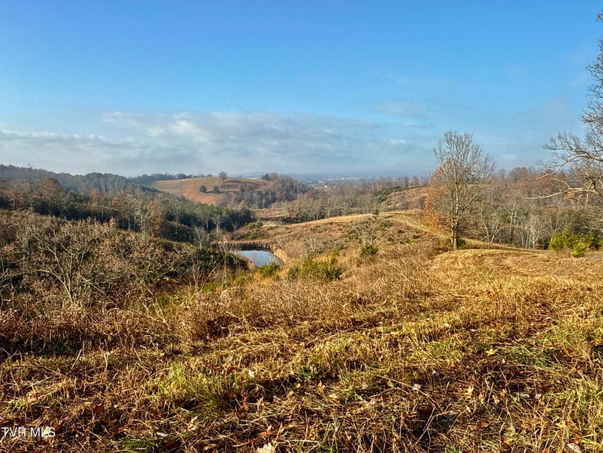 Photo #13: 3456 Warrensburg Road