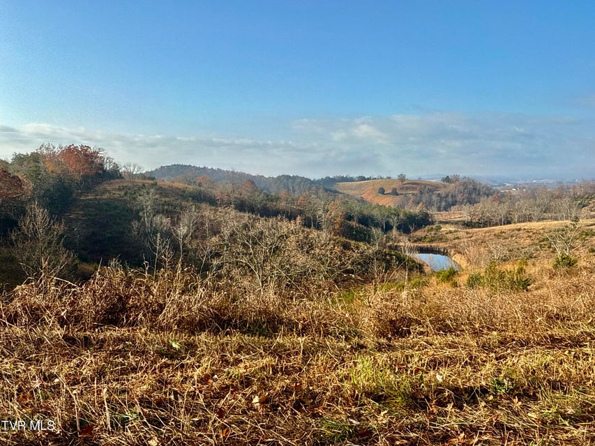 Photo #14: 3456 Warrensburg Road