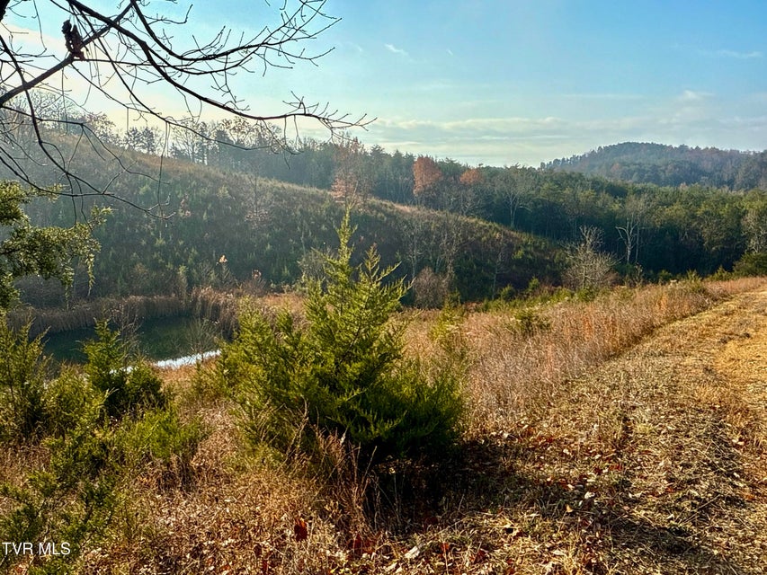 Photo #16: 3456 Warrensburg Road