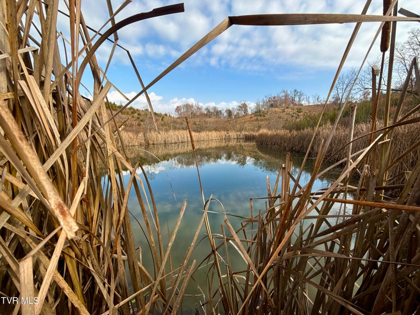 Photo #17: 3456 Warrensburg Road