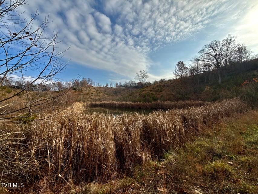 Photo #18: 3456 Warrensburg Road