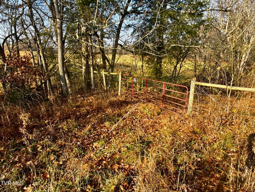 Photo #19: 3456 Warrensburg Road