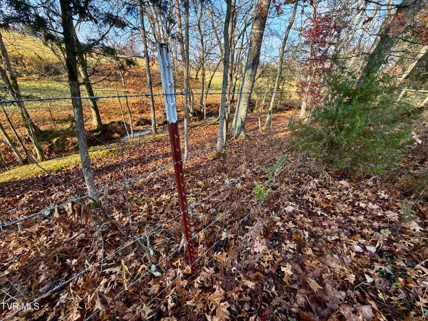 Photo #20: 3456 Warrensburg Road