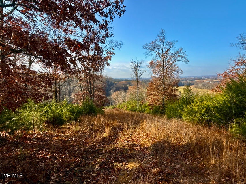 Photo #22: 3456 Warrensburg Road