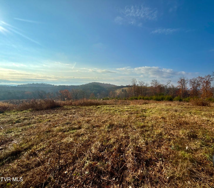 Photo #23: 3456 Warrensburg Road