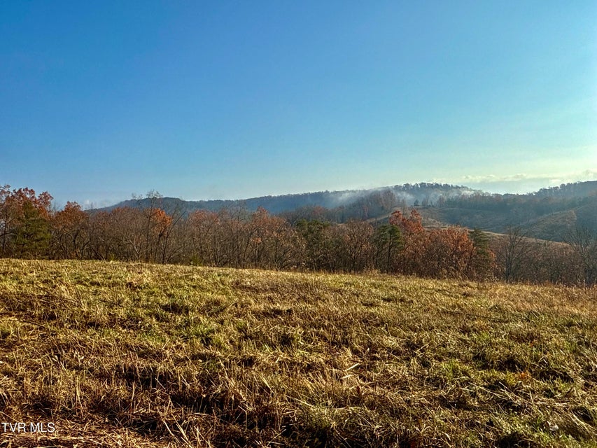 Photo #24: 3456 Warrensburg Road