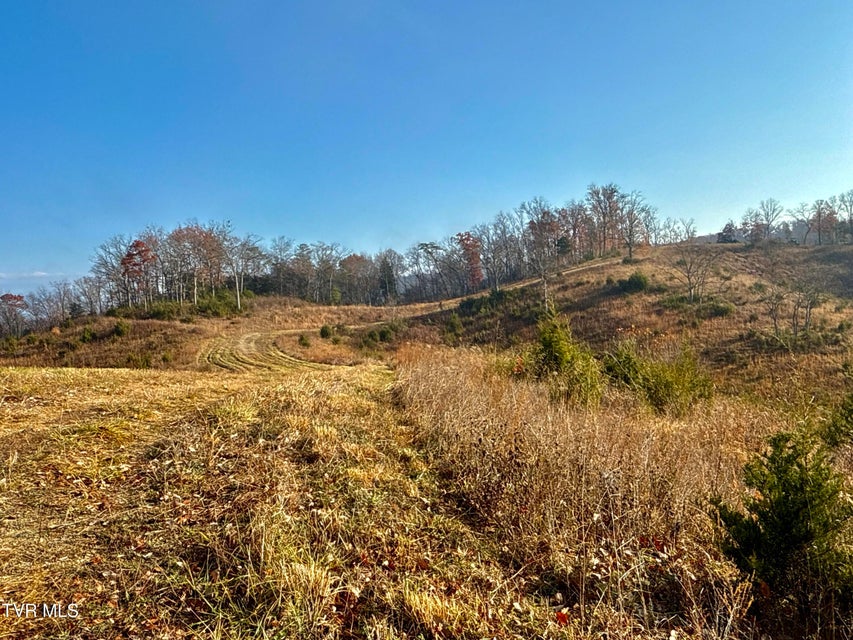 Photo #25: 3456 Warrensburg Road