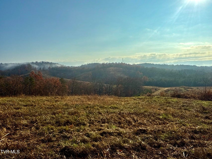 Photo #26: 3456 Warrensburg Road