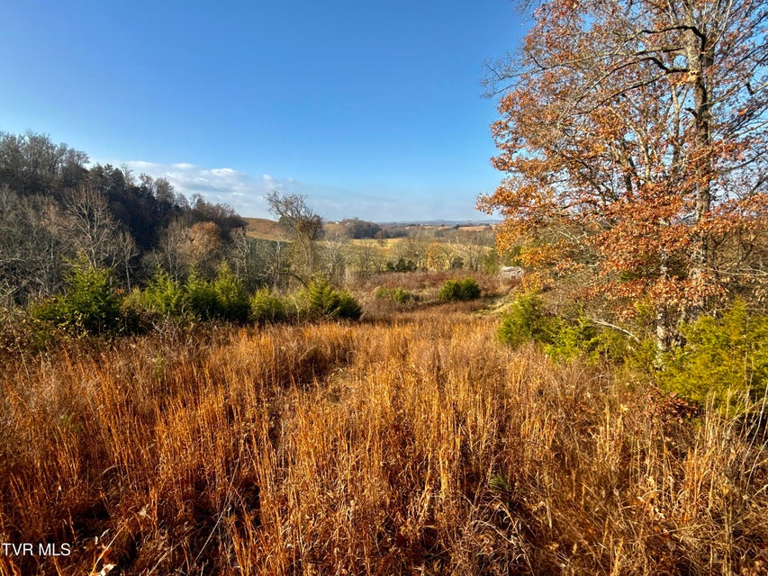 Photo #28: 3456 Warrensburg Road