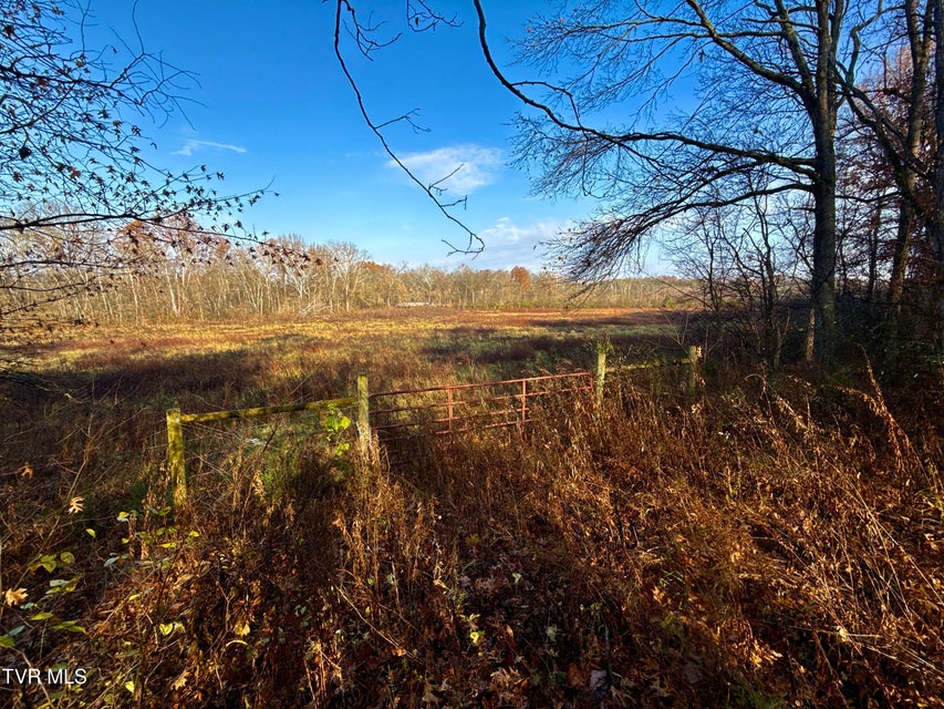 Photo #29: 3456 Warrensburg Road