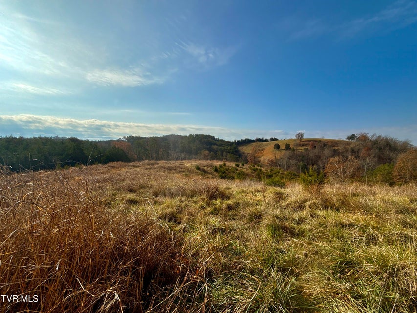 Photo #30: 3456 Warrensburg Road