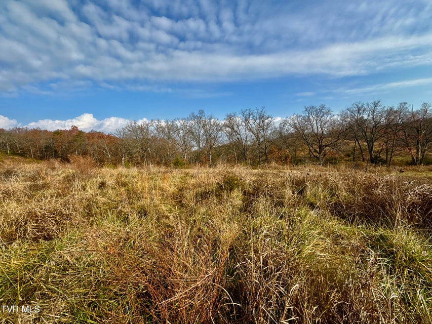 Photo #31: 3456 Warrensburg Road