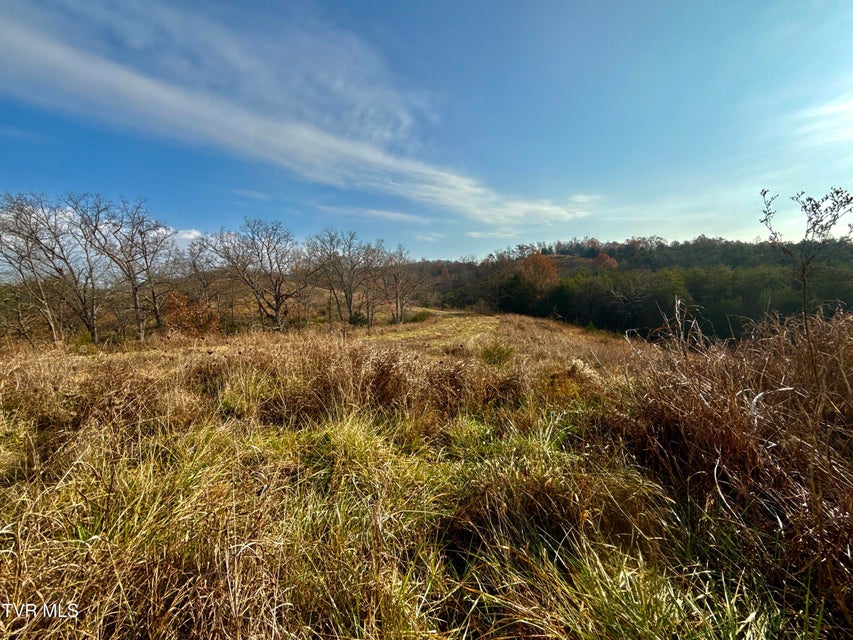 Photo #32: 3456 Warrensburg Road