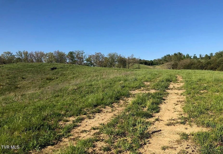 Photo #33: 3456 Warrensburg Road