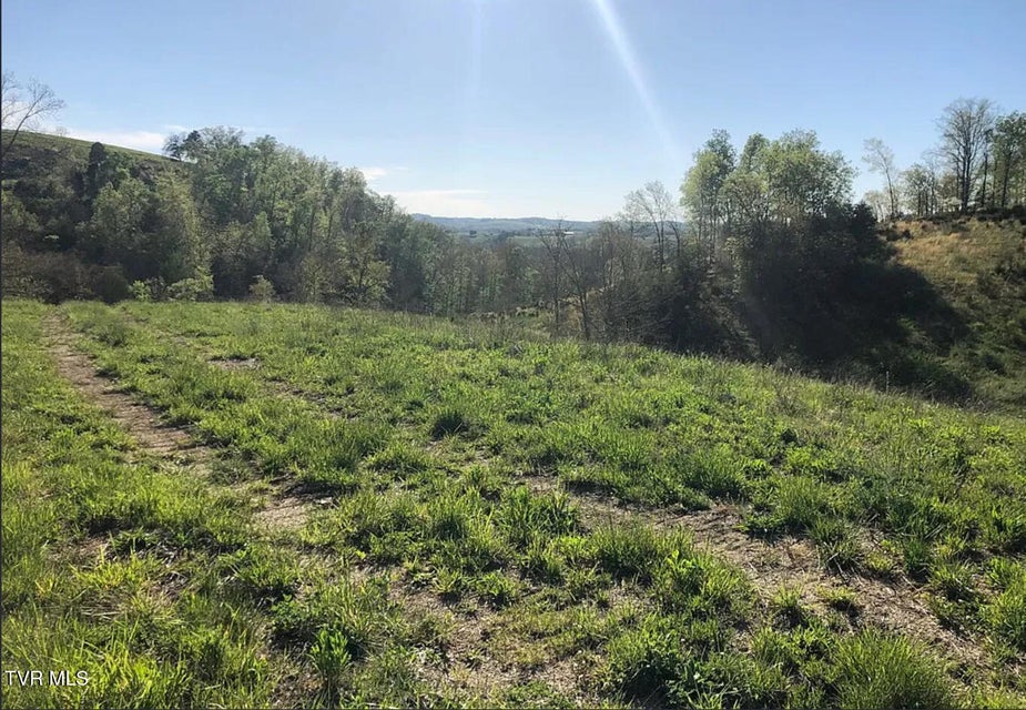 Photo #34: 3456 Warrensburg Road